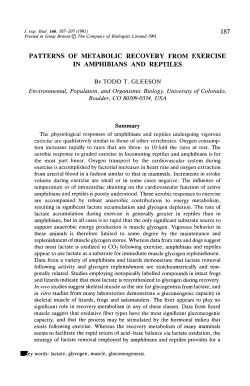 patterns of metabolic recovery from exercise in amphibians and