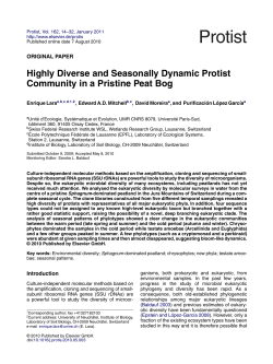 Highly Diverse and Seasonally Dynamic Protist Community in a