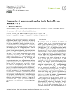 Organomineral nanocomposite carbon burial