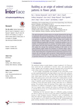 Buckling as an origin of ordered cuticular patterns in flower petals
