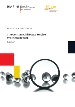 The German Civil Peace Service