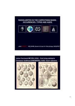 RADIOLARITES IN THE CARPATHIAN BASIN: OCCURENCES