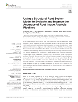 Using a Structural Root System Model to Evaluate and Improve the