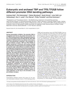 Eukaryotic and archaeal TBP and TFB/TF(II)B