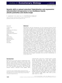 Genetic drift or natural selection? Hybridization and asymmetric