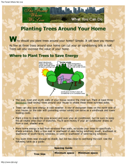 Planting Trees Around Your Home