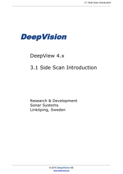 DeepView - DeepVision