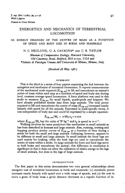 as a PDF