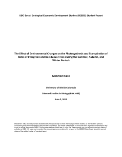 The Effect of Environmental Changes on the Photosynthesis and