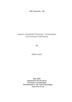 Leisure, Household Production, Consumption and Economic Well
