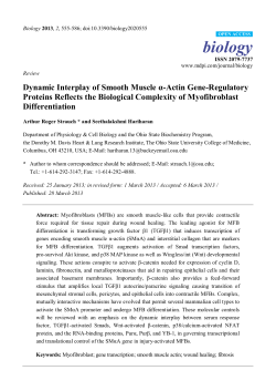 Dynamic Interplay of Smooth Muscle &alpha;-Actin Gene