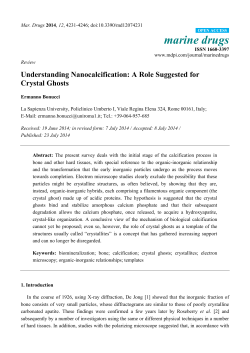 Understanding Nanocalcification: A Role Suggested for