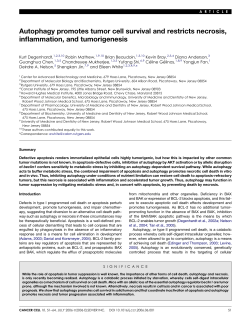 Autophagy promotes tumor cell survival and restricts necrosis