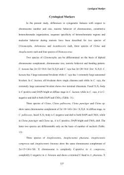 Cytological Markers