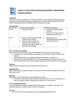 Lesson 3 toolkit - Litter Free Coast and Sea