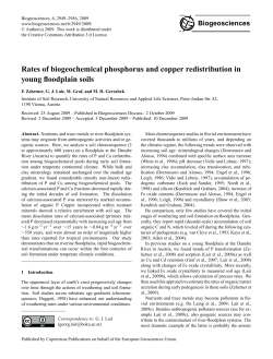 Rates of biogeochemical phosphorus and copper