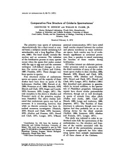 Comparative Fine Structure of Cnidaria Spermatozoa`