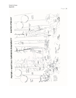 Forest in Focus Appendix Page | 1