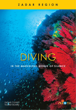 zadarregion - Business HTZ