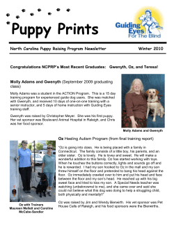 Puppy Prints - Guiding Eyes for the Blind
