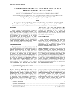 TAXONOMIC STUDY OF SOME EUGLENOID ALGAE ALONG G.T.