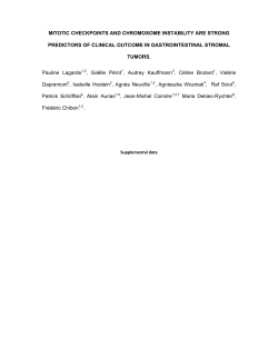 MITOTIC CHECKPOINTS AND CHROMOSOME INSTABILITY ARE