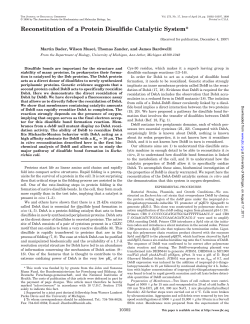 Reconstitution of a Protein Disulfide Catalytic System