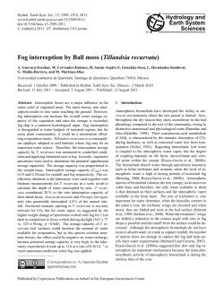 Fog interception by Ball moss (Tillandsia