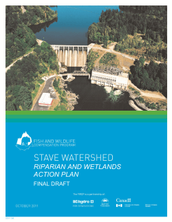 riparian and wetlands action plan - Fish and Wildlife Compensation