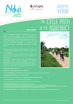 scheda-web site-ingl