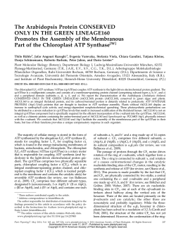 The Arabidopsis Protein CONSERVED ONLY IN