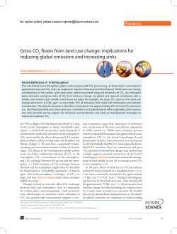 Gross CO2 fluxes from land-use change: implications for reducing