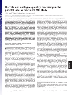 Discrete and analogue quantity processing in the parietal lobe: A