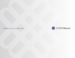 brand voice guidelines