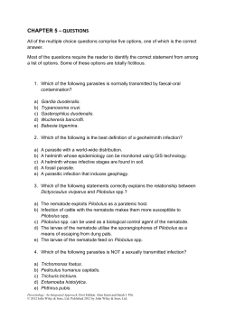 chapter 5 &ndash; questions