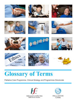 Glossary of Terms
