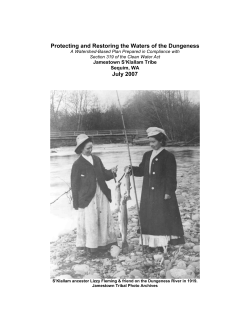 Protecting and Restoring the Waters of the Dungeness