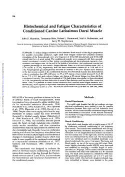 Histochemical and Fatigue Characteristics of Conditioned Canine