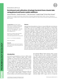 Enrichment and cultivation of pelagic bacteria from a humic lake