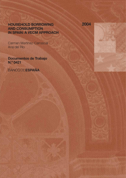 Household borrowing and consumption in Spain