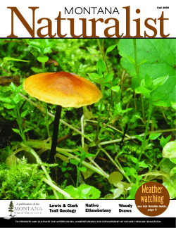 Annie Mad Plume Wall - Montana Natural History Center