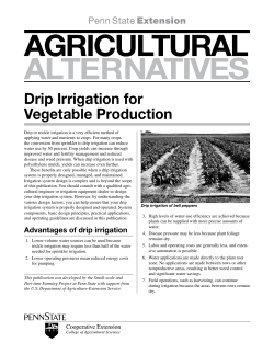 Drip Irrigation For Vegetable Production