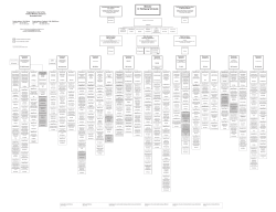 Organisational chart of the Federal Ministry of Finance