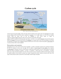 Carbon cycle