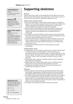 Supporting skeletons