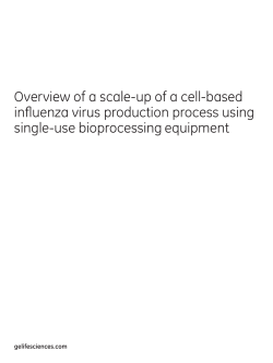 Overview of a scale-up of a cell-based influenza virus production