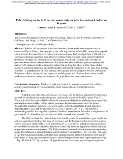 A living vector field reveals constraints on galactose