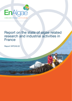 France - EnAlgae