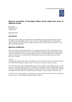 Sensory properties of Sauvignon Blanc wines made from vines of