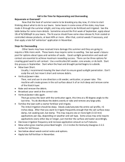 Rejuvenate or Overseed?